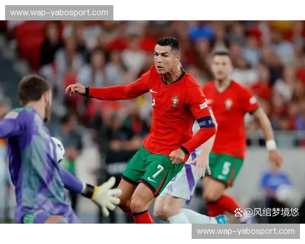 波兰vs葡萄牙比分预测：一场激情碰撞的战术博弈与球星的闪耀时刻