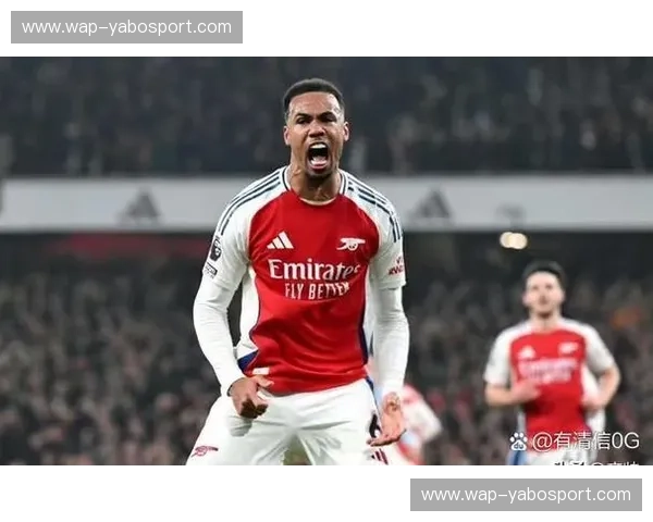 北伦敦的火焰：托特纳姆热刺与阿森纳的百年恩怨情仇